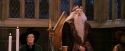 PF-Potterish_11831.jpg