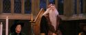 PF-Potterish_11848.jpg