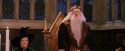 PF-Potterish_11852.jpg