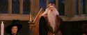 PF-Potterish_11872.jpg