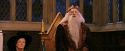 PF-Potterish_11875.jpg