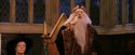PF-Potterish_11877.jpg