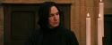 PF-Potterish_11884.jpg