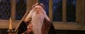 PF-Potterish_11885.jpg