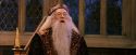 PF-Potterish_11894.jpg