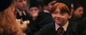 PF-Potterish_11902.jpg