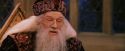 PF-Potterish_11905.jpg