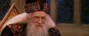 PF-Potterish_11907.jpg