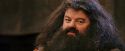 PF-Potterish_11920.jpg