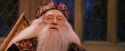 PF-Potterish_11924.jpg