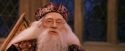 PF-Potterish_11925.jpg