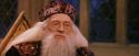 PF-Potterish_11935.jpg