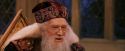 PF-Potterish_11936.jpg