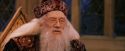 PF-Potterish_11938.jpg