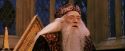 PF-Potterish_11946.jpg