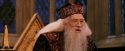 PF-Potterish_11951.jpg
