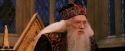 PF-Potterish_11952.jpg