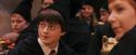 PF-Potterish_11953.jpg