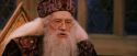 PF-Potterish_11963.jpg