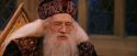 PF-Potterish_11964.jpg