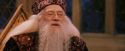 PF-Potterish_11965.jpg
