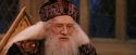 PF-Potterish_11966.jpg