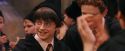 PF-Potterish_11970.jpg