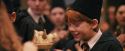 PF-Potterish_11974.jpg