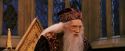 PF-Potterish_12003.jpg