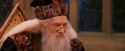 PF-Potterish_12025.jpg