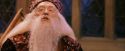 PF-Potterish_12026.jpg