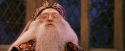 PF-Potterish_12028.jpg