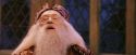 PF-Potterish_12029.jpg