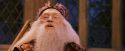 PF-Potterish_12033.jpg
