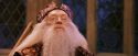 PF-Potterish_12035.jpg