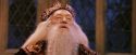 PF-Potterish_12047.jpg