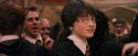 PF-Potterish_12082.jpg