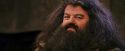PF-Potterish_12086.jpg