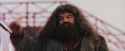 PF-Potterish_12120.jpg