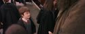 PF-Potterish_12135.jpg