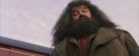 PF-Potterish_12138.jpg