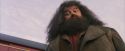 PF-Potterish_12139.jpg