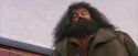 PF-Potterish_12140.jpg
