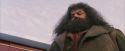 PF-Potterish_12145.jpg