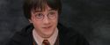 PF-Potterish_12171.jpg