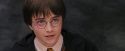PF-Potterish_12173.jpg