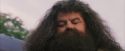 PF-Potterish_12176.jpg