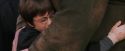 PF-Potterish_12181.jpg