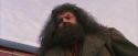 PF-Potterish_12183.jpg