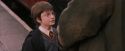 PF-Potterish_12188.jpg